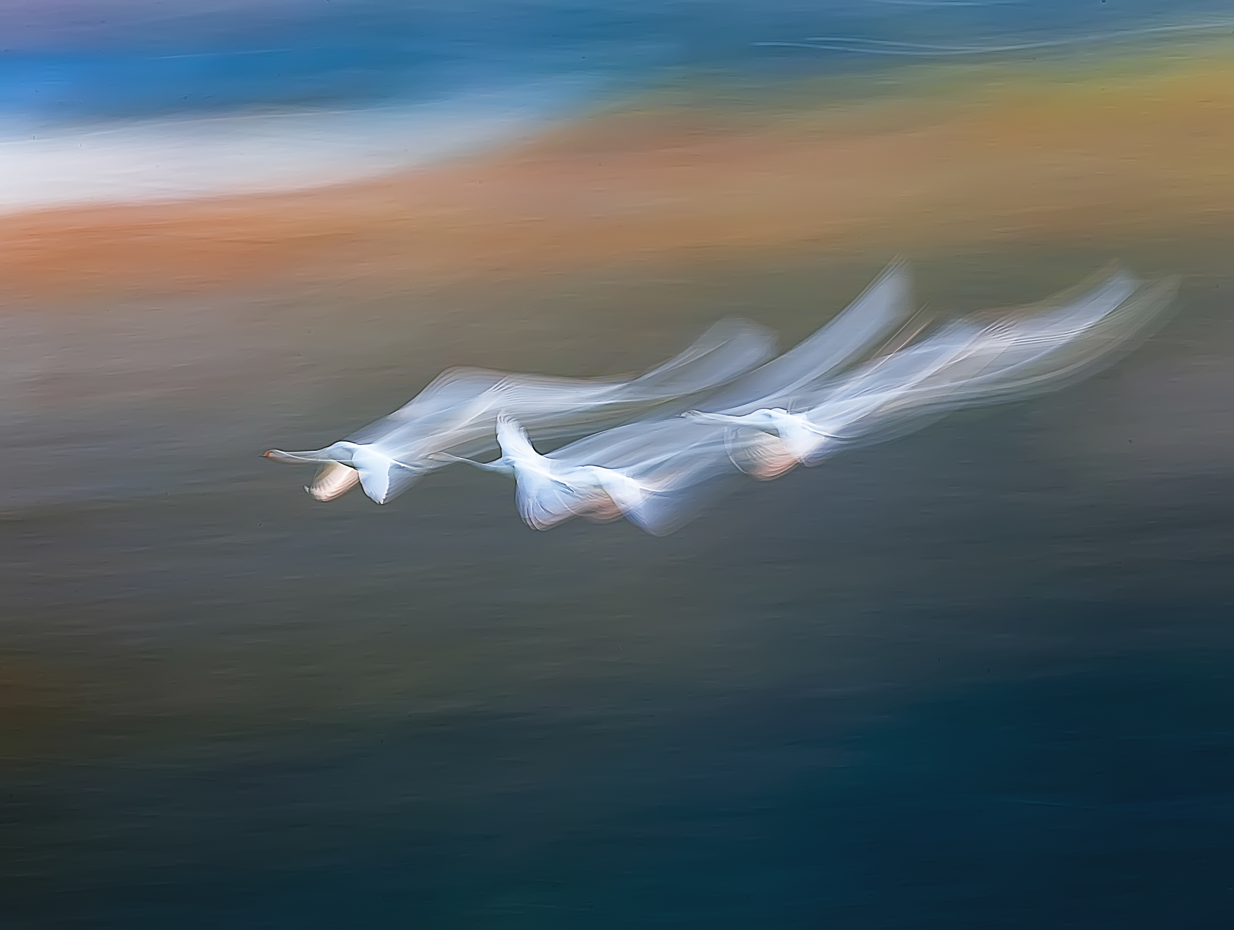 《飘》.jpg