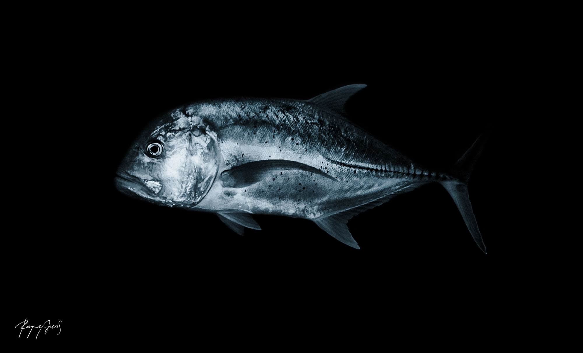 5G3A9204-Edit.jpg