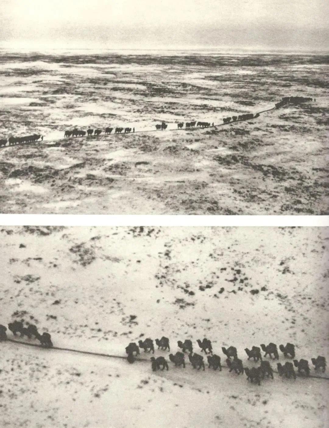 74.jpg