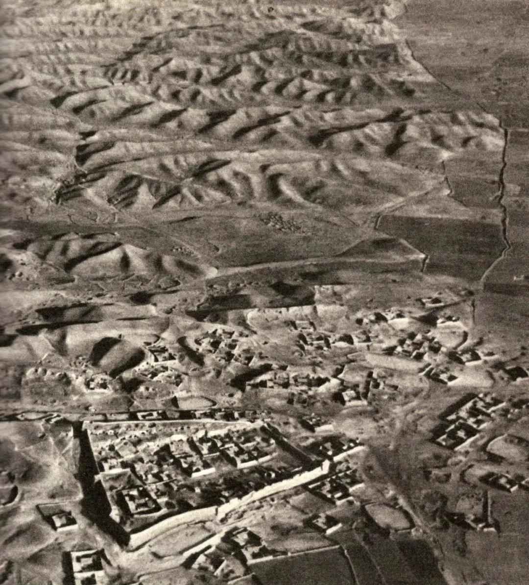 65.jpg
