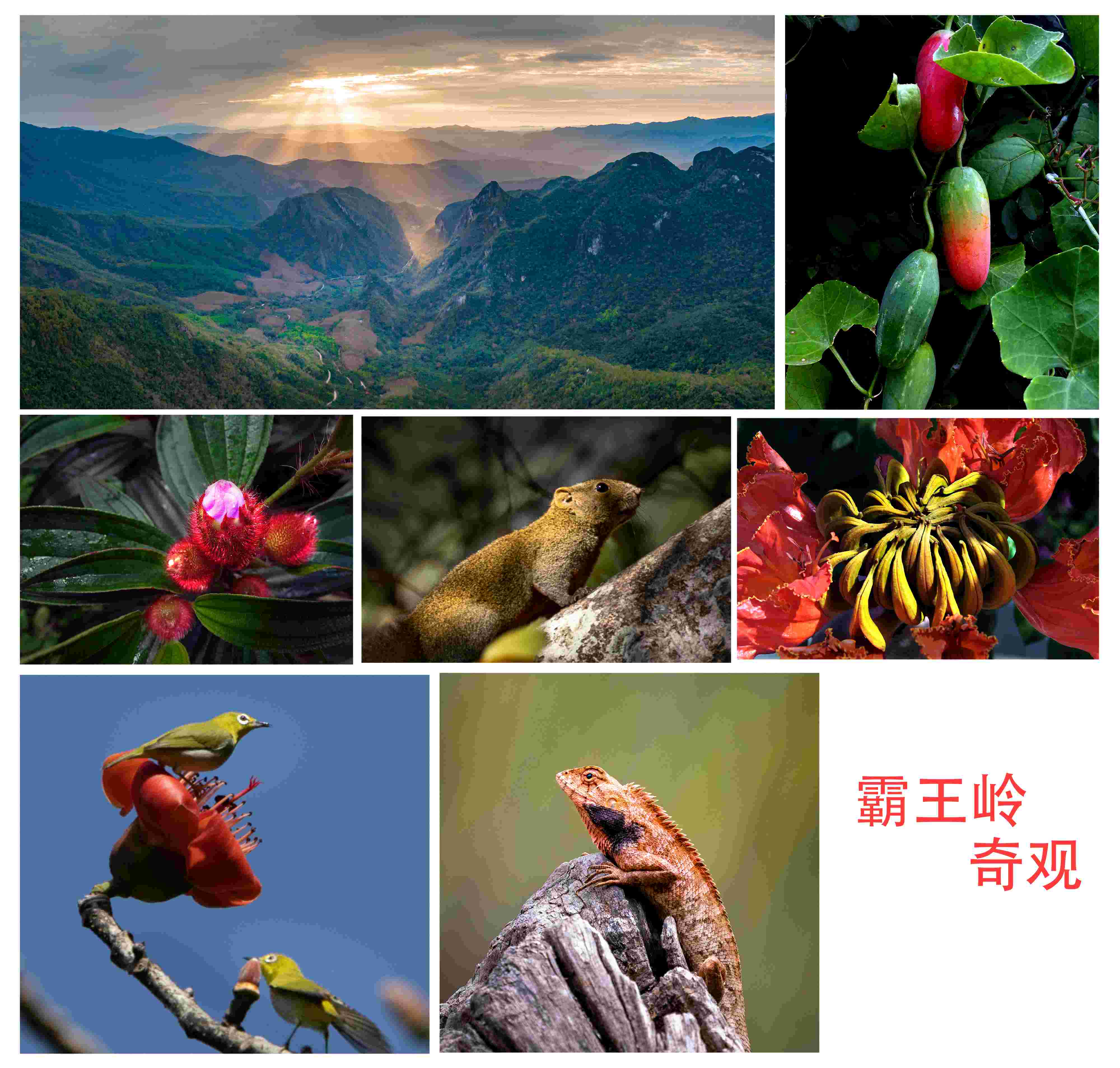 微信图片_20220419173326.jpg