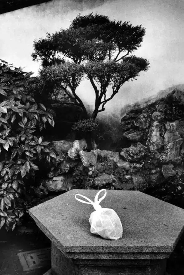 640 (36).jpg 640 (36).jpg